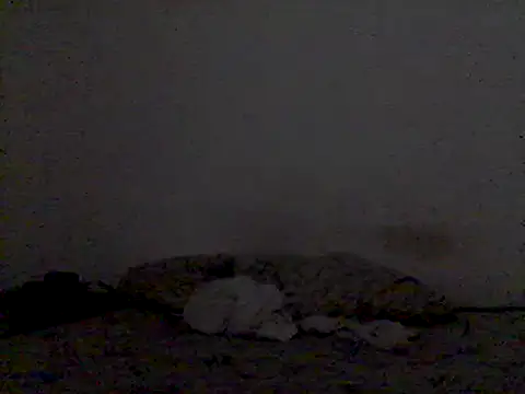 Snapshot of mariy_ chatting on 03.03.25 mariy online show from 03.03.25