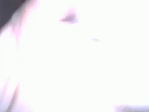 BobbyQ29 online show from 04.25.26
