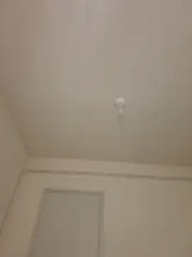 Snapshot of wedge75 chatting on 05.13.26 wedge75 online show from 05.13.26