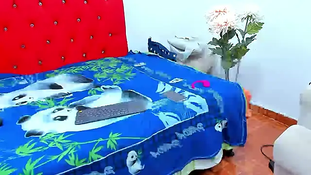 Snapshot of big-dicktop23 chatting on 12.12.24 big-dicktop23 online show from 12.12.24