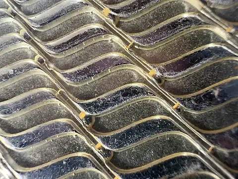 Snapshot of Amarok39 chatting on 01.06.25 Amarok39 online show from 01.06.25