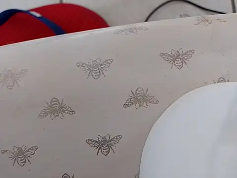 Snapshot of Amarok39 chatting on 03.15.25 Amarok39 online show from 03.15.25