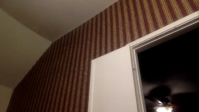 Snapshot of GForceSavage chatting on 02.11.26 GForceSavage online show from 02.11.26