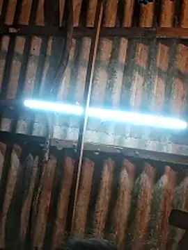 Snapshot of HotSexyBoudi chatting on 01.09.26 HotSexyBoudi online show from 01.09.26