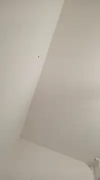 Anitabambola online show from 03.05.25