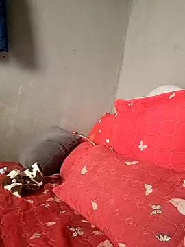 Petrossa online show from 01.13.26