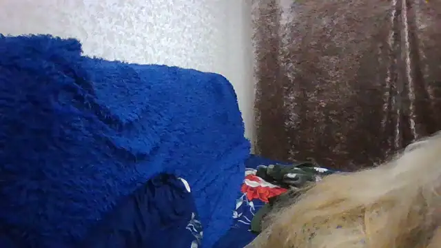 CarlyTreat online show from 11.30.25