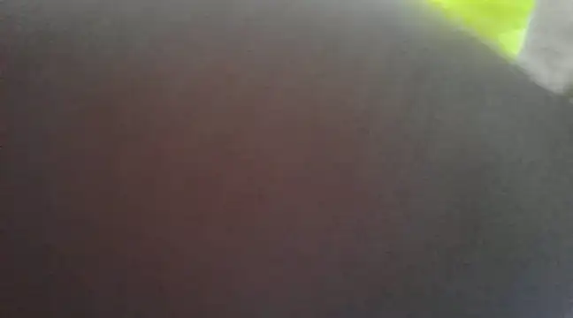 Snapshot of Chitrani- chatting on 01.16.25 Chitrani- online show from 01.16.25