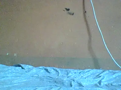 Naivegirrl online show from 02.08.26