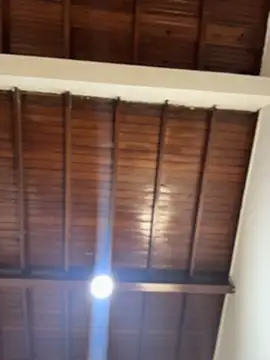 emiss  online show from 02.05.26