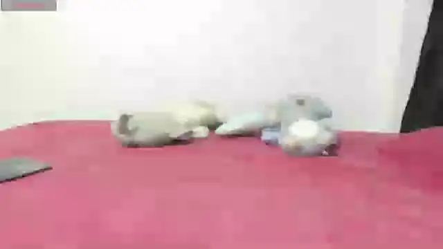 Mayte sexy online show from 02.21.25