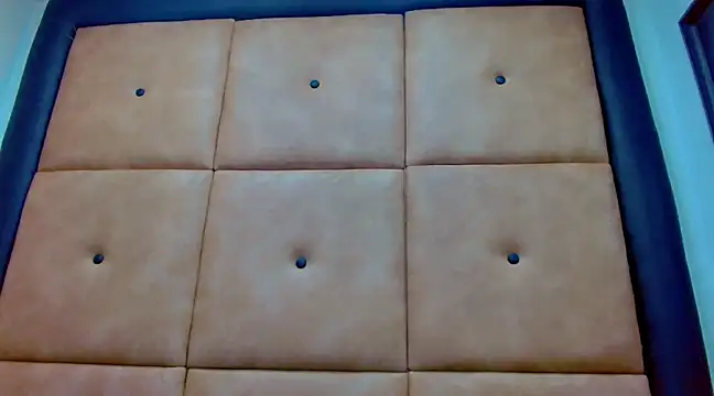 Snapshot of Sr_BonnyEthan chatting on 12.28.24 Sr BonnyEthan online show from 12.28.24