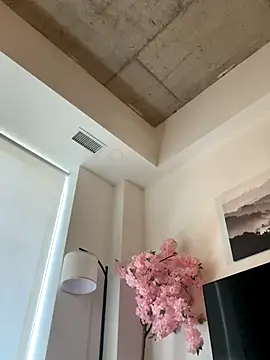 Your Paris online show from 11.13.25