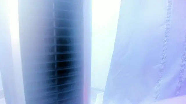 Emily Gil1 online show from 01.28.25