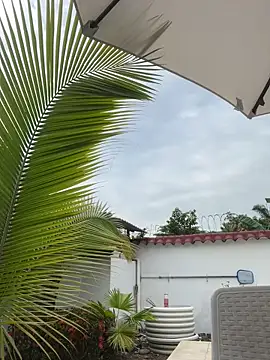 Ema azel online show from 02.16.25