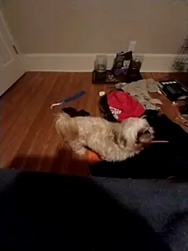 Snapshot of 420getsmehorny chatting on 12.16.24 420getsmehorny online show from 12.16.24