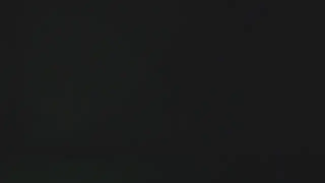 eleecttraa 12 online show from 01.17.26