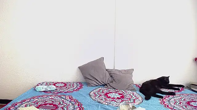 Snapshot of _joanne_and_oliver_ chatting on 09.17.25  joanne and oliver  online show from 09.17.25