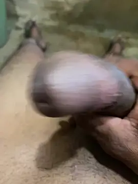 s1437jdjjddjjshbx online show from 01.11.25