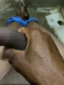 s1437jdjjddjjshbx online show from 01.31.25