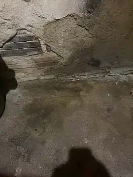 s1437jdjjddjjshbx online show from 03.05.25