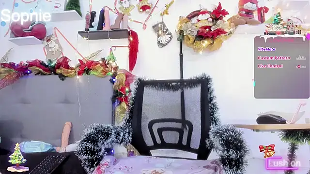 Sophiehuntress online show from 12.17.24