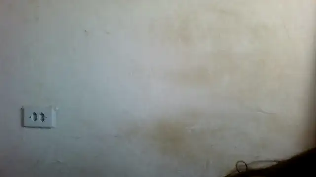 Snapshot of By_Aninha chatting on 02.22.25 By Aninha online show from 02.22.25