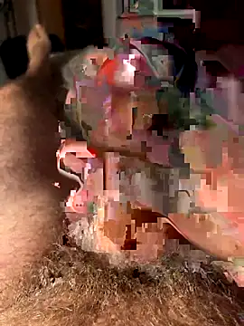 francoers online show from 10.16.25