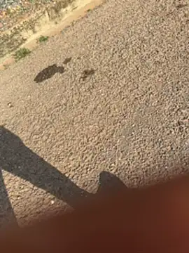 Black-mamba-madingo online show from 09.30.25