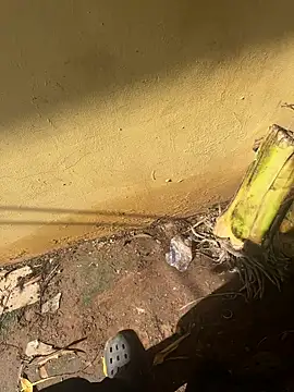 Black-mamba-madingo online show from 10.10.25