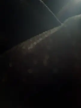 AmberGreyy  online show from 07.31.26