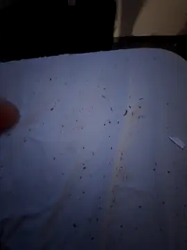 Snapshot of Csucsukahhh chatting on 12.30.24 Csucsukahhh online show from 12.30.24