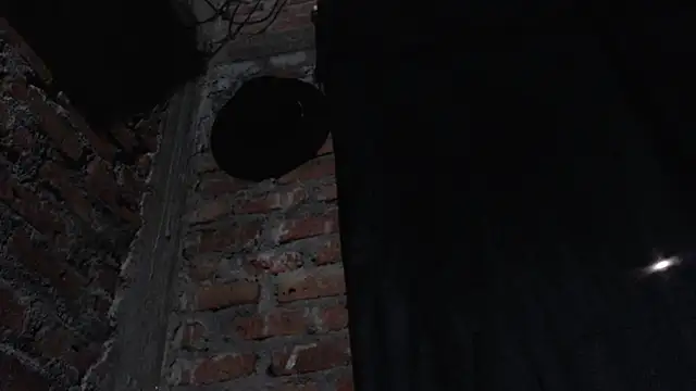 J232001 online show from 03.01.26