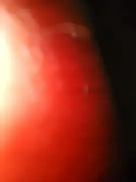 soso31213 online show from 02.03.26