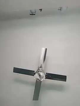 nicedick bro online show from 10.06.25