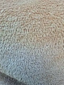 Priya Bong online show from 01.15.26