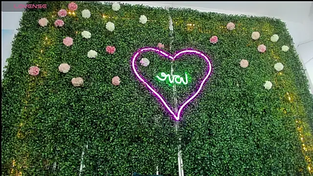 emy 0 online show from 01.04.25