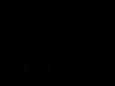 Skinnynerd online show from 01.09.26