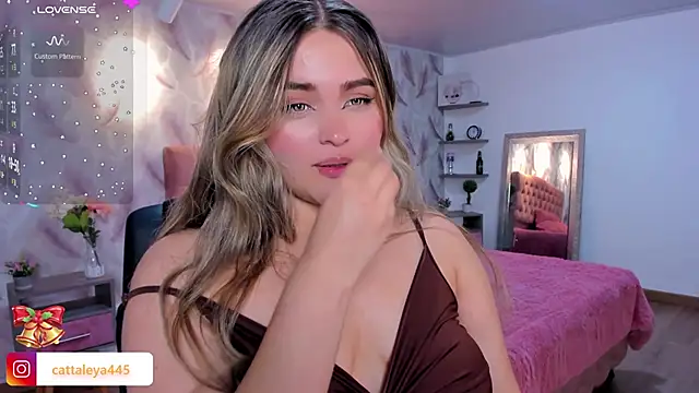 cattaleya    online show from 11.19.25