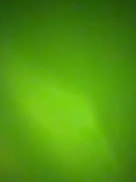 nene fun online show from 01.31.26