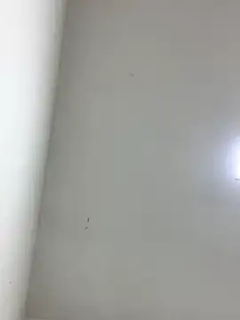 LinnaGardenia online show from 10.01.25