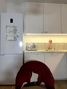 Snapshot of Little_Forest_ELF chatting on 11.27.25 Little Forest ELF online show from 11.27.25