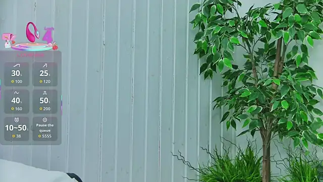 EmilyColle  online show from 01.14.26