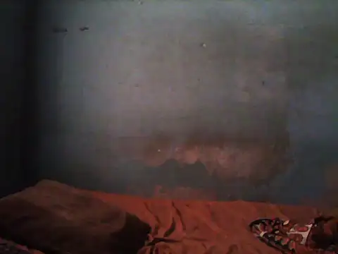 little  joy online show from 11.05.25