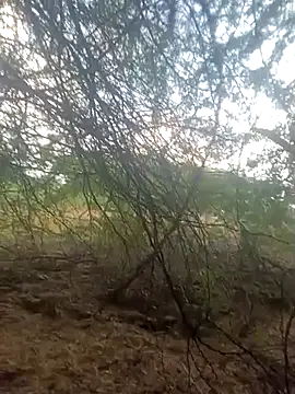 Snapshot of lovesuna chatting on 09.30.25 lovesuna online show from 09.30.25