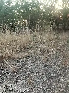 Snapshot of lovesuna chatting on 12.20.25 lovesuna online show from 12.20.25