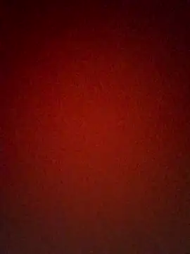 Snapshot of HangdogBeggary chatting on 12.04.24 HangdogBeggary online show from 12.04.24