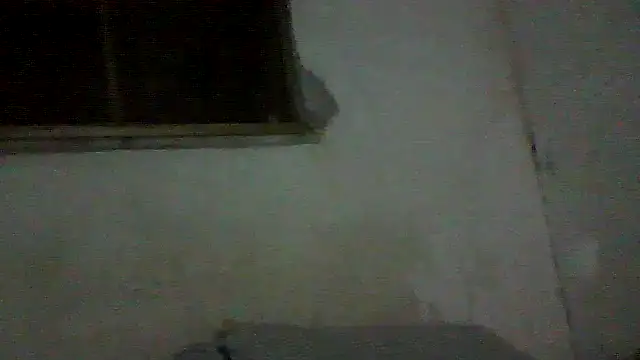 PAUBRASILEIRORJ online show from 07.17.26