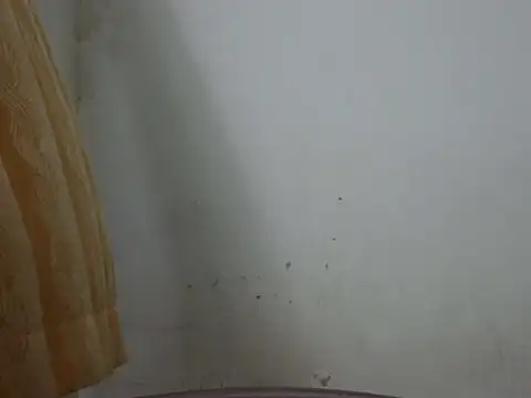 cutelady65 online show from 06.14.26