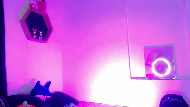 Gorrion   online show from 03.11.26